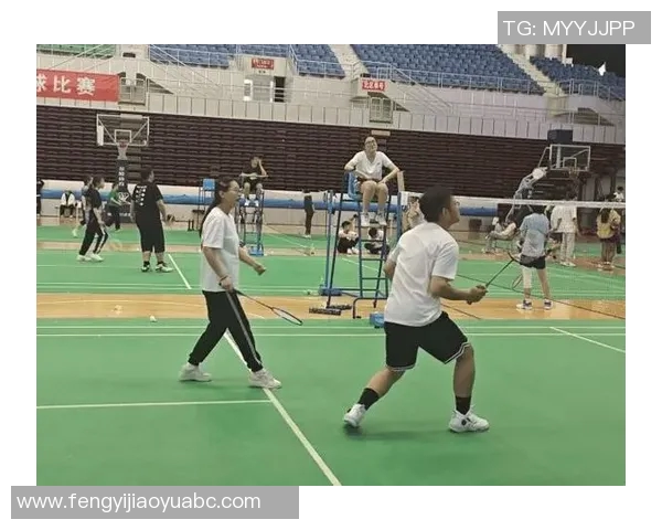 羽毛球场上的拼搏与坚持刘丽的职业生涯回顾与展望