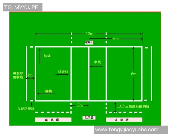 赛后分析：北京排球队与深圳排球队实力对比及比赛亮点解析