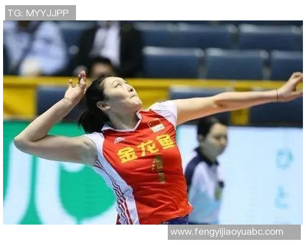 武汉排球队的节奏起伏分析与未来发展展望